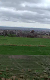 باغبانی شبستر
