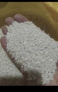 برنج لاشه هاشمی .
