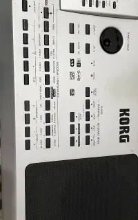 Korg pa80