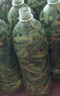 خیارشور پلمپ