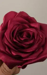 گل روبانی