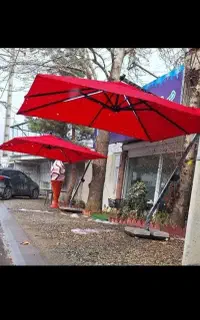 سایبوت