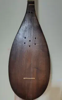 تنبور کاسه ای