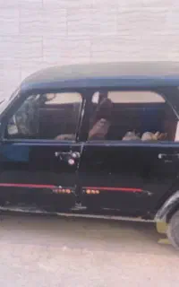 پی کی ۸۳