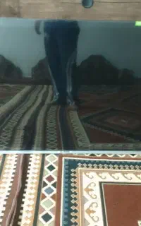 تلویزیون