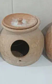 لانه کوزه پرنده