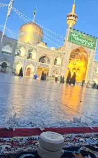 سفر مشهد و شیراز