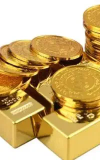 هدیه صرافی بیت پین