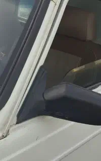 وانت