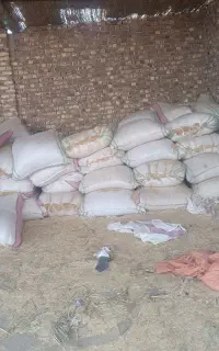 کاه خوب کردستان هست کیلو 18