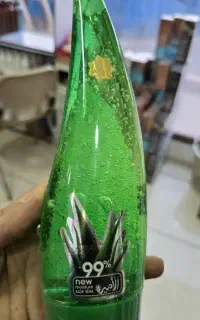 راهنمایی وسرایداری