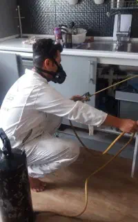 سمپاشی حشرات(ساس سوسک)۱۰۰%تضمینی کل تهران سم پاشی