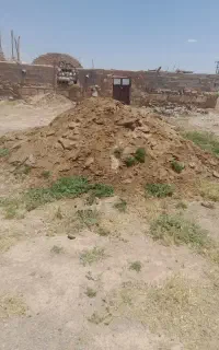 کودحیوانی گوسفند