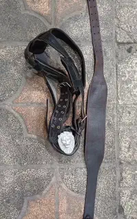 هیکلی