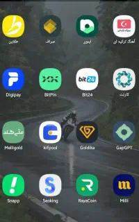 پول رایگان