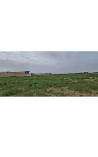 انتهای فرهنگیان
