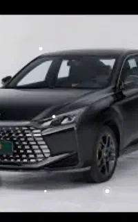 فروش حواله لاماری اکو