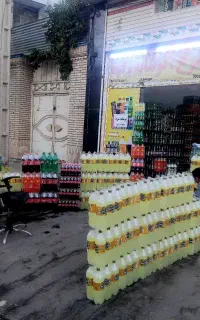 بیسمارک خانواده