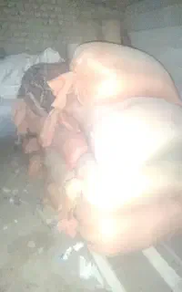 یونجه و کاه عدس