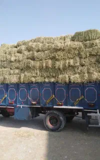 اتاق باری فلزی
