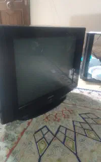 تلویزیون