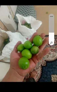 لیمو ترش می خوام  با قیمت خوب میخرم
