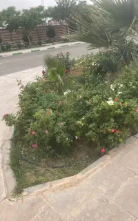 به تعدادی کارگر جهت کار در فضای سبز نیازمندیم