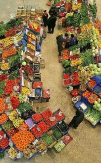 کارشناسی رایگان کوددهی برای بالا بردن تناژ بار