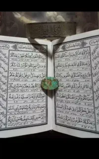 رزق  بازگشت کاسبی
