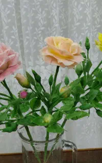 گلهای جاودانه