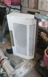 هود