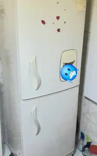 یخچال فریزر سیلوان