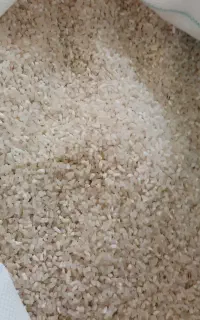 نیمدانه فجرسوزنی معطر۱۷۵وسالم