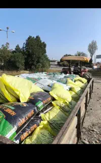 کودمرغی پلیت