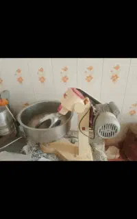 وسایل کامل زولبیا بامیه