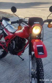 XL  پلاک ملی