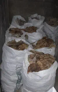 نان خشک دامی