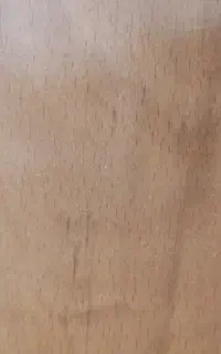 ۵۰ متر موکت