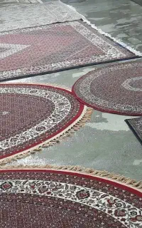 قالیشویی محمدی