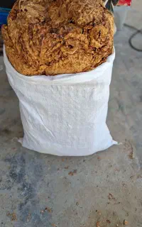 بزرگ زده بنیاد جنس لوکس