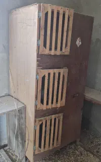 قفس چوبی ۳ طبقه کفتر جوجه