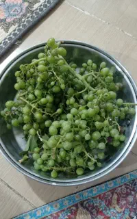هاله