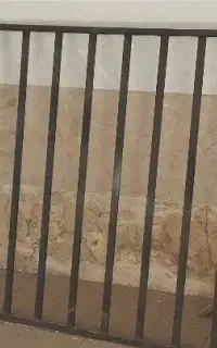 حفاظ