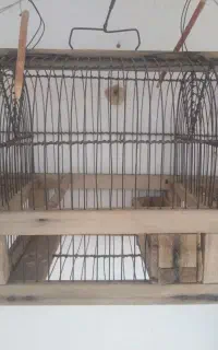 تله دستساز