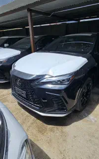 لکسوس Nx اف اسپورت 2026 پلاک منطقه
