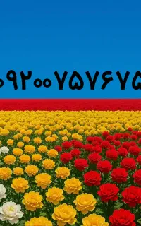 سیم کارت بسیار رند رایتل