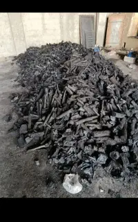 ذغال کبابی