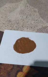 خاکشیر نو