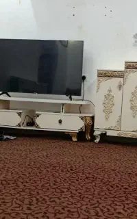 میز تلویزیون و جاکفشی
