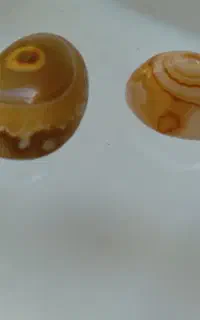 روکش لباسشوی
